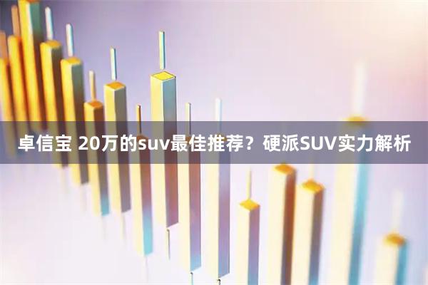 卓信宝 20万的suv最佳推荐？硬派SUV实力解析