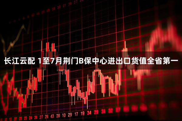 长江云配 1至7月荆门B保中心进出口货值全省第一