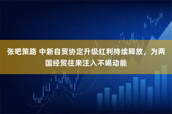 张吧策路 中新自贸协定升级红利持续释放，为两国经贸往来注入不竭动能