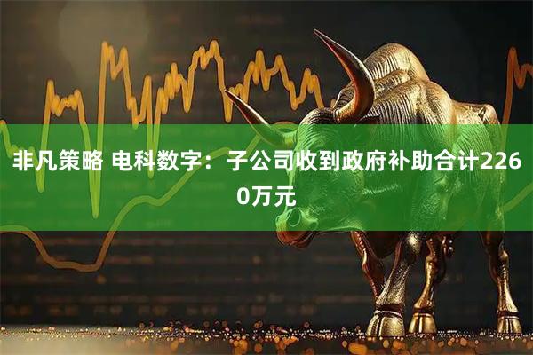 非凡策略 电科数字：子公司收到政府补助合计2260万元